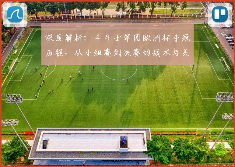 深度解析：斗牛士军团欧洲杯夺冠历程，从小组赛到决赛的战术与关键点全回顾